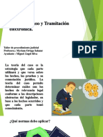 1 Teoría Del Caso y Tramitacion Electrónica