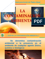 Cintaminacion Ambiental y Calentamiento Global