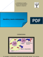 T3geneticayconducta 140928213540 Phpapp01