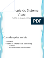 Semiologia do sistema visual