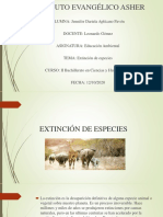 Extinción de Especies - Ambiental