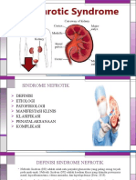 Nefrotik Sindrome