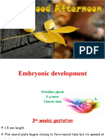 Unit 2- Embryonic Development