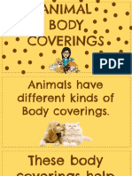 Animal Coverings Lesson Slides