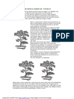 Regras especiais e cuidados com mudas de bonsai