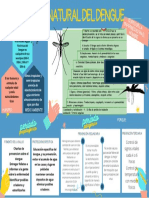 Historia Natural Dengue