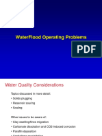 Waterflooding Operating Problems