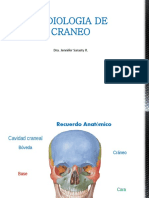 RX Craneo