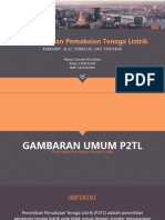 Camelia Eka Lifasty - Pelanggaran P2TL