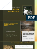 Animal Behaviour - Syamala Devi Natarajan - 1