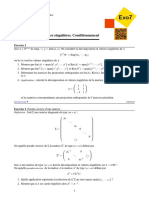 Décomposition en Valeurs Singulières. Conditionnement