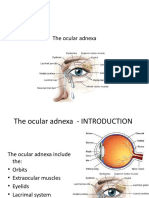 The Anatomy and Physiology of the Ocular Adnexa