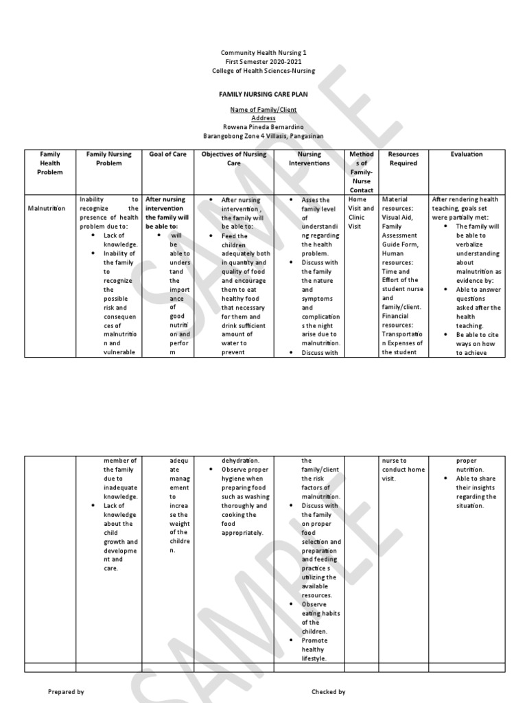 Family Nursing Care PlanMalnutrition PDF Malnutrition Nursing