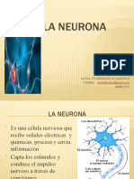 La Neurona