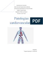 Alteraciones Del Sistema Cardiovascular