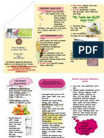 Elsi Leaflet Gout Arthritis