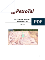 Informe Anual Ambinetal 95 FINAL 2019-N SONIALOU