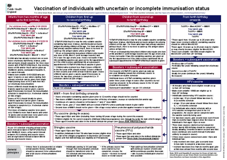 Algorithm Immunisation Status Jan2020 | PDF | Health Policy | Rtt