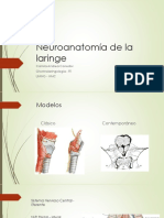 Neuroanatomía de La Laringe