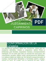 exterioryjuzgamientocaprinos-141015192032-conversion-gate02