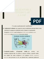 Analizatorul Vestibular