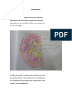 inidad 2 . fisiologia del riñon