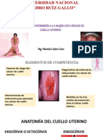 Cuidado enfermería cáncer cuello uterino