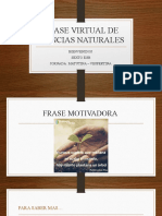 Clase Virtual - Fotosintesis
