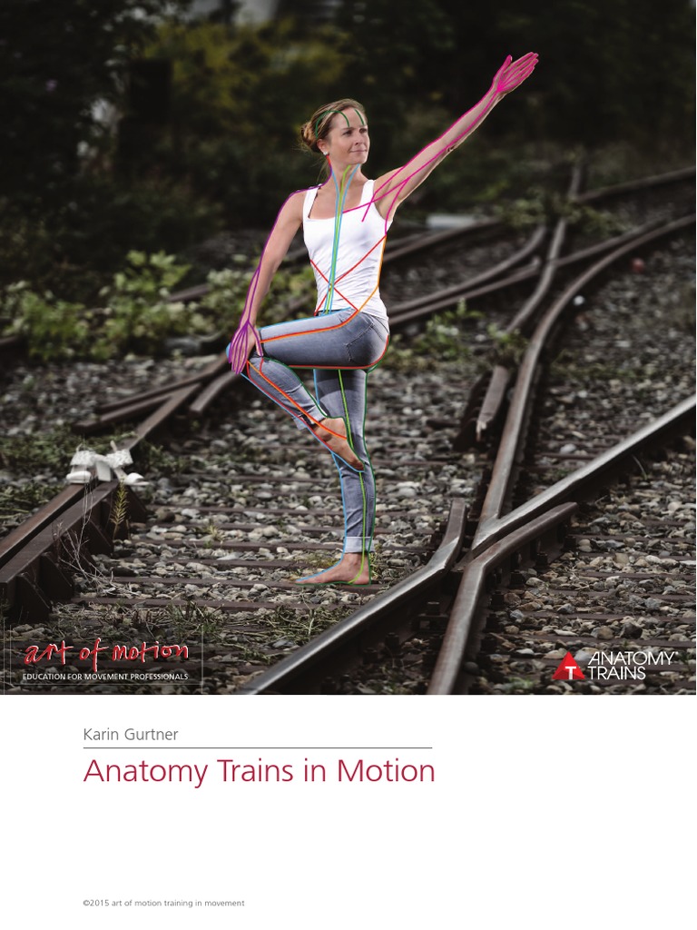 Anatomy visual data 6