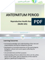 NURS325 04 Antepartum Period