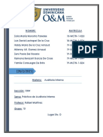 Practica - Procesos de La Empresa-Auditoria Interna