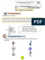 Utilidad y Cuidado de Las Plantas