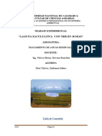 Informe de Proyecto de Aguas GIULIANNA