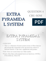 p4 Extra Pyramidal System