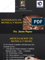 Ultrasonido en medicina: anatomía y aplicaciones clínicas de la muñeca