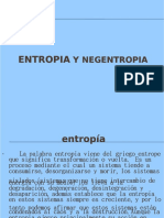 PDF Entropia y Negentropia - Compress