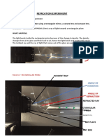 Refrcation Experiment: What Happens