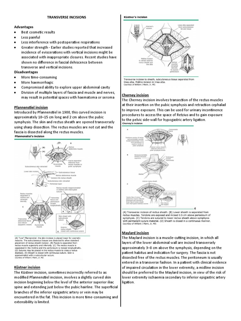 Transverse Incisions | PDF | Abdomen | Anatomy