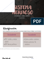 Anatomía Del Sistema Nervioso