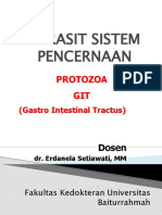 Parasit Protozoa-Git-Sistem Pencernaan