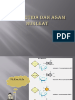 9.nukleotida Dan Asam Nukleat 03