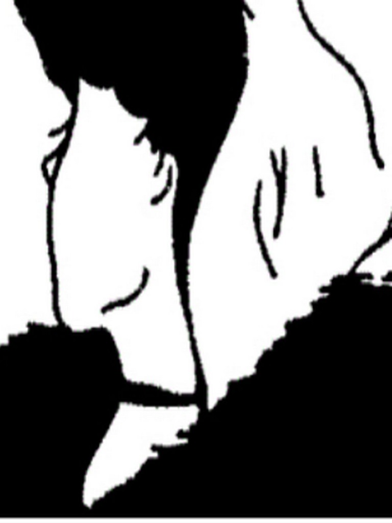 Young Lady Old Lady Illusion PDF