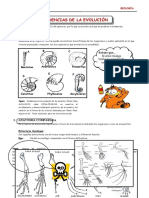 Evidencias de La Evolución