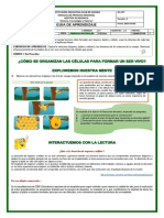 Guía N°2 - Ciencias Naturales - Grado 5° - I Semestre - 2021