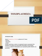 TOXOPLASMOZA