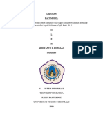 Memahami Matriks RASCI dalam Manajemen Proyek | PDF