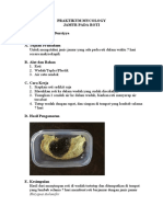 Praktikum Mycologi - Jamur Pada Roti - Kelasf - Syajaratud Durriyya - 201911161