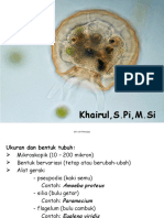 PROTOZOA