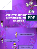 Plathyhelminthes, Nemathelminthes Dan Annelida