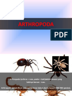 ARTHROPODA12